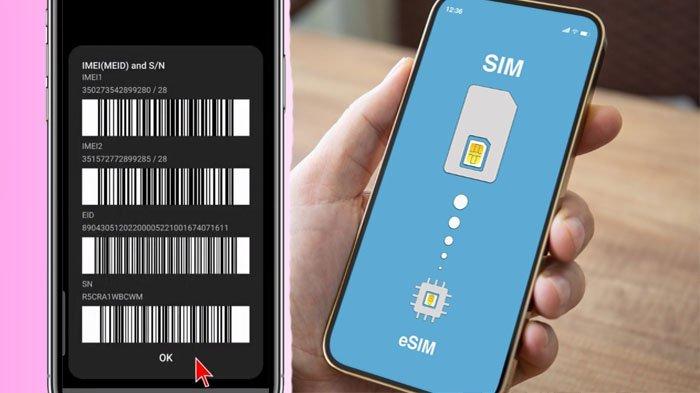 Cara Cek Hp Support Esim Dengan Cepat Dan Akurat